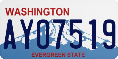 WA license plate AYO7519