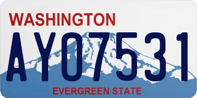 WA license plate AYO7531