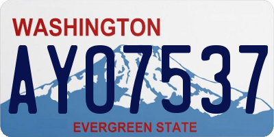 WA license plate AYO7537