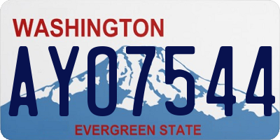 WA license plate AYO7544
