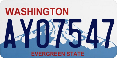 WA license plate AYO7547