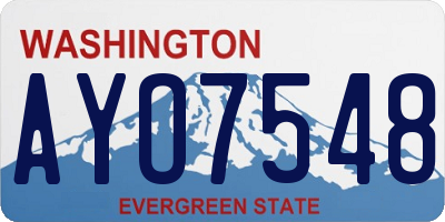 WA license plate AYO7548