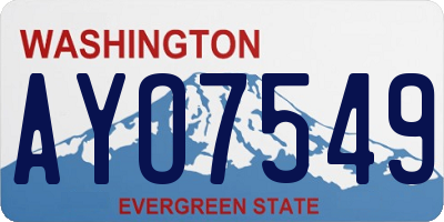 WA license plate AYO7549