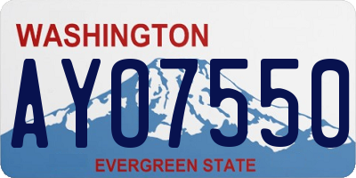 WA license plate AYO7550