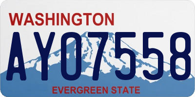 WA license plate AYO7558