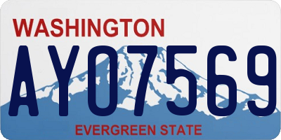 WA license plate AYO7569