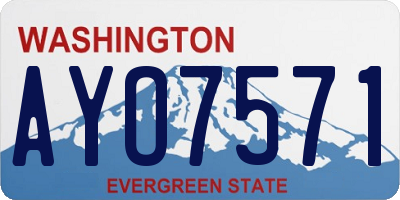 WA license plate AYO7571