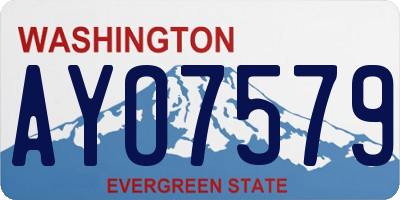 WA license plate AYO7579