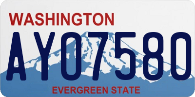 WA license plate AYO7580