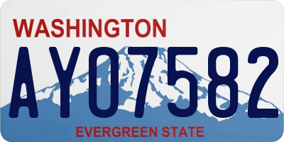 WA license plate AYO7582