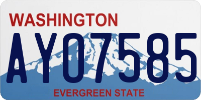 WA license plate AYO7585