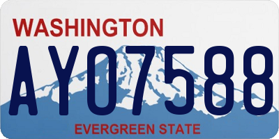 WA license plate AYO7588