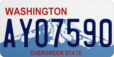 WA license plate AYO7590