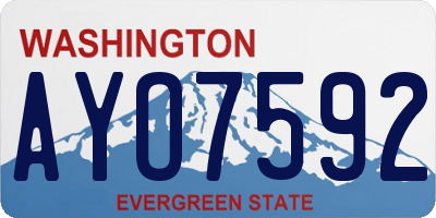 WA license plate AYO7592