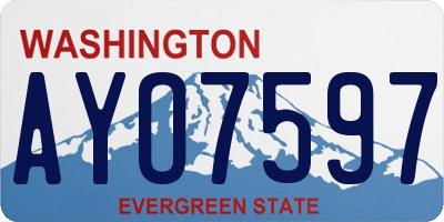 WA license plate AYO7597
