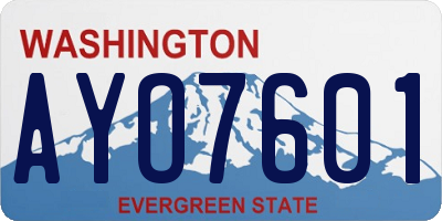 WA license plate AYO7601