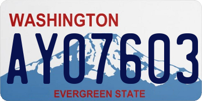 WA license plate AYO7603