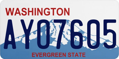 WA license plate AYO7605