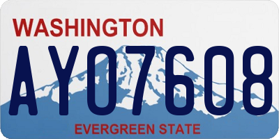 WA license plate AYO7608
