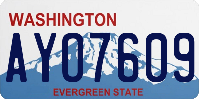 WA license plate AYO7609