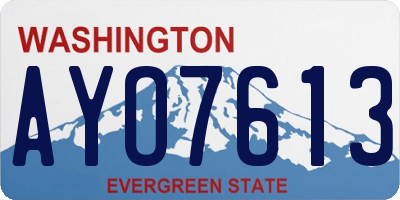WA license plate AYO7613