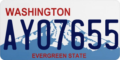 WA license plate AYO7655