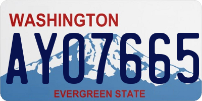 WA license plate AYO7665