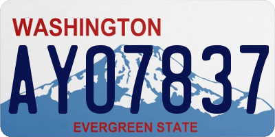 WA license plate AYO7837