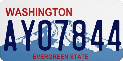 WA license plate AYO7844