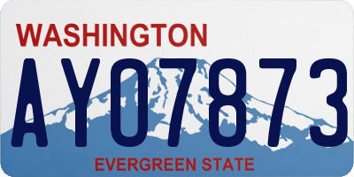 WA license plate AYO7873