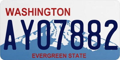 WA license plate AYO7882
