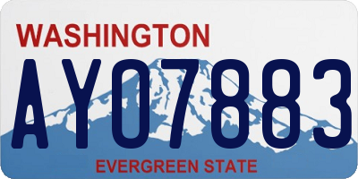 WA license plate AYO7883