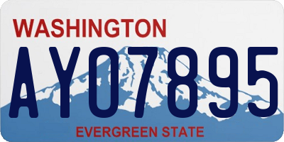 WA license plate AYO7895