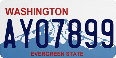 WA license plate AYO7899