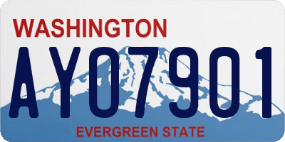 WA license plate AYO7901