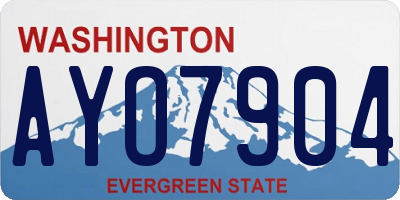 WA license plate AYO7904