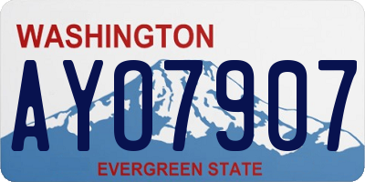 WA license plate AYO7907