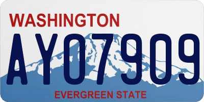 WA license plate AYO7909