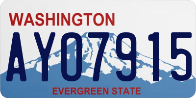 WA license plate AYO7915