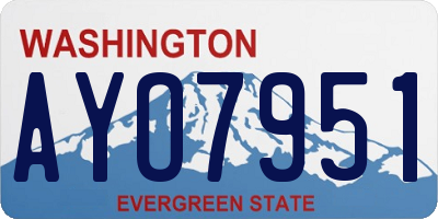 WA license plate AYO7951