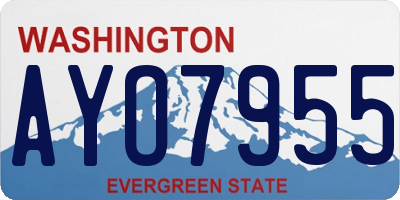 WA license plate AYO7955