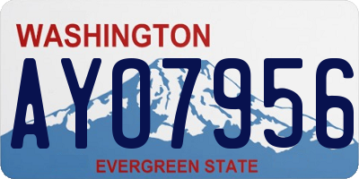 WA license plate AYO7956