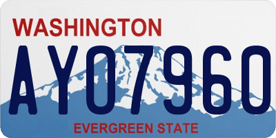 WA license plate AYO7960