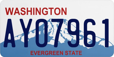 WA license plate AYO7961