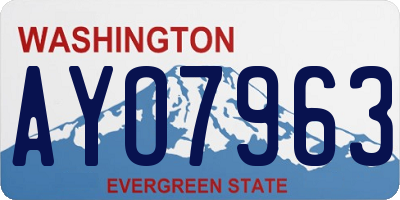 WA license plate AYO7963