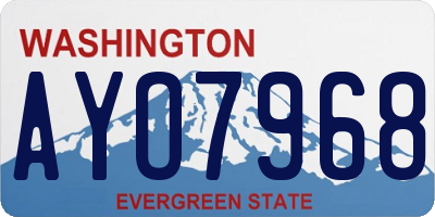 WA license plate AYO7968