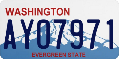 WA license plate AYO7971