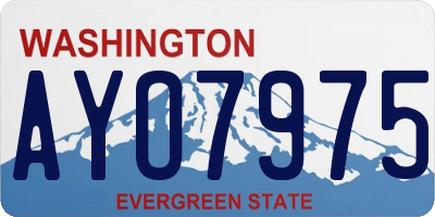WA license plate AYO7975