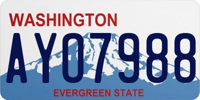 WA license plate AYO7988