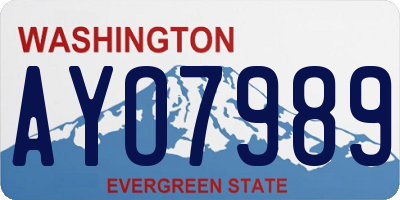 WA license plate AYO7989